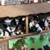 130210_KZug (90)
